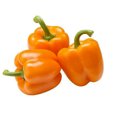 Capsicum Orange
