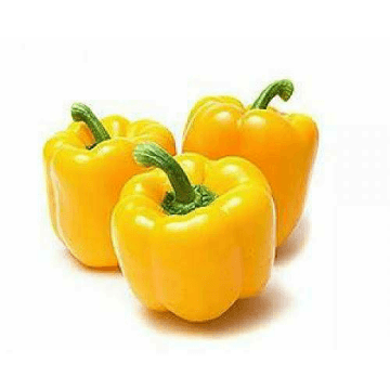Capsicum Yellow